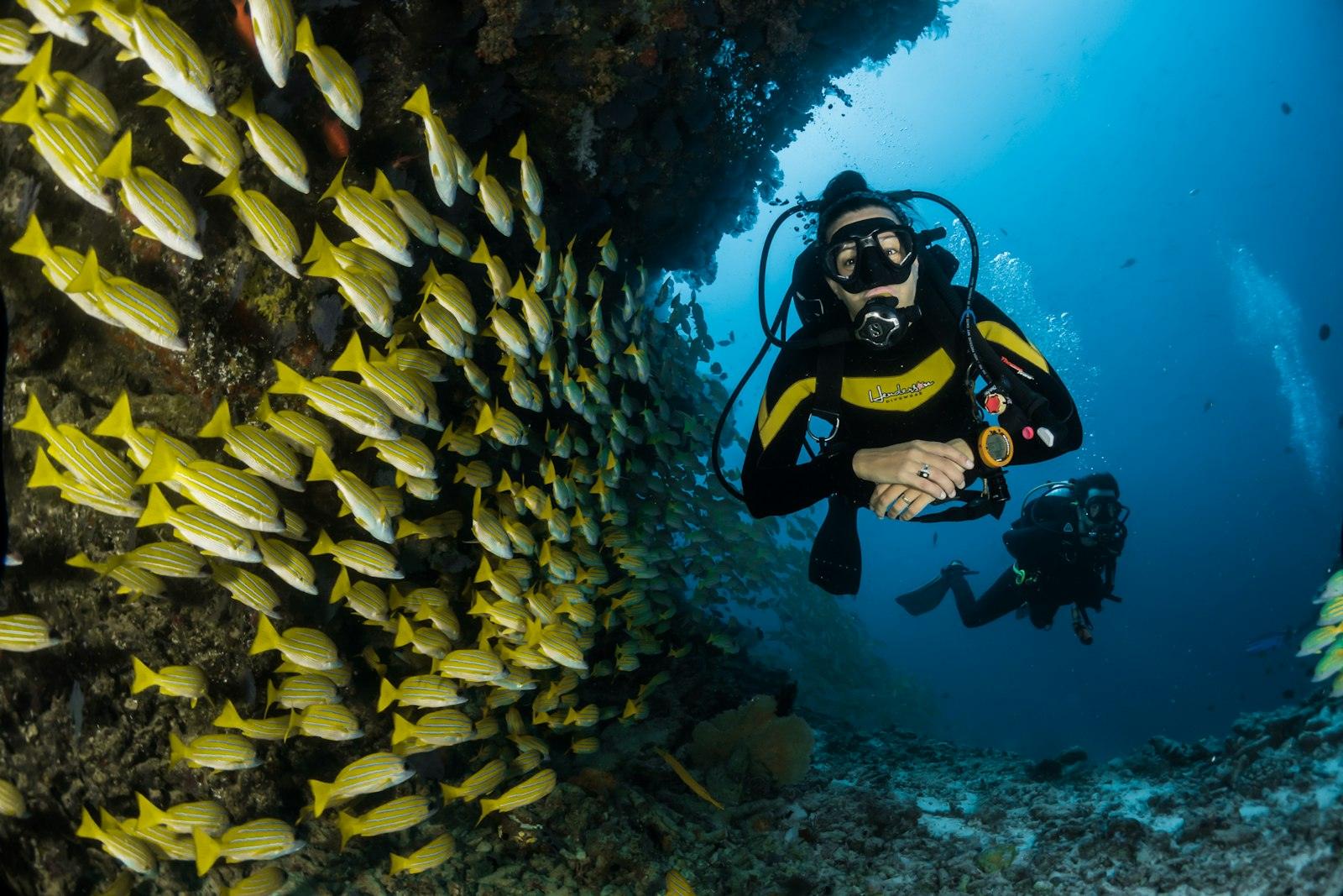 Scuba Diving — Red Sea