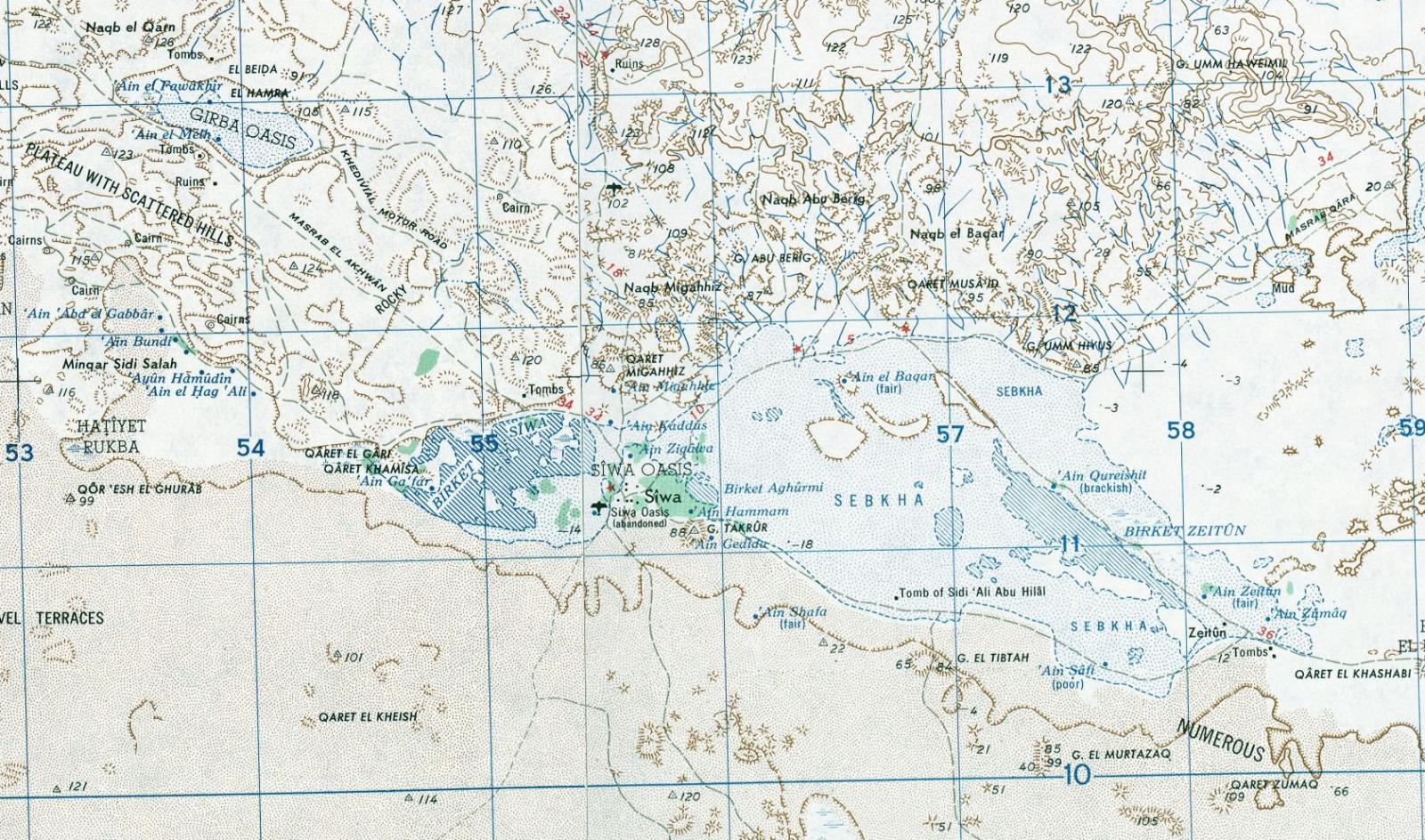 Siwa Oasis & Desert Night